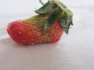 2011040901